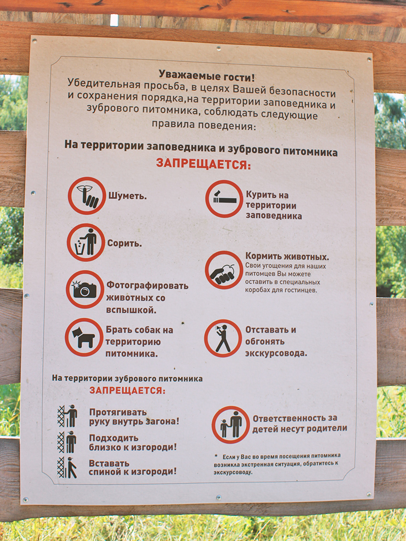 Познавательные таблички