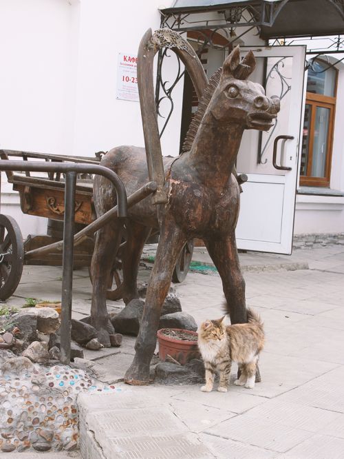 kafe-kharchevnya-suzdal1